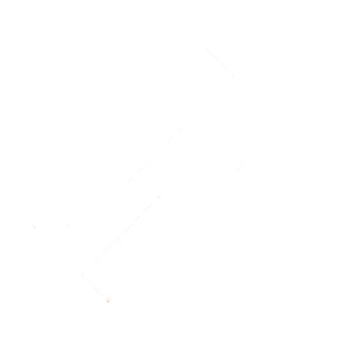 Head of Strategy & Portfolio Integration